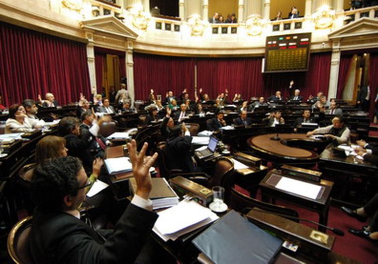 La Cámara alta pide la reglamentación al Ejecutivo. Foto: Senado