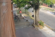 El jardinero cae abatido Foto: Captura de video