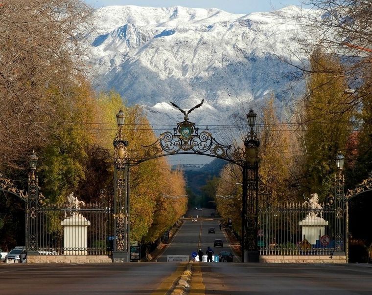 Cortesía Alejandro Venier