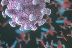 Los anticuerpos son clave para combatir los virus, pero a veces se vuelven rebeldes y atacan órganos y tejidos sanos. Foto: GETTY IMAGES