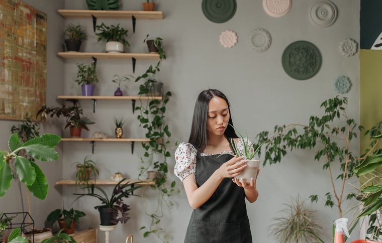 Decorar con plantas tanto en el exterior como en el interior del hogar es tendencia. Foto: Pexels