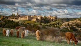 Este pueblo de murallas es uno de los más pintorescos de Madrid Foto: Los Pueblos más Bonitos de España