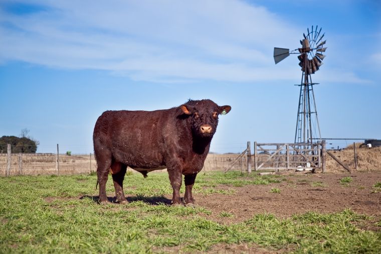 (Foto Argentina.gob.ar)