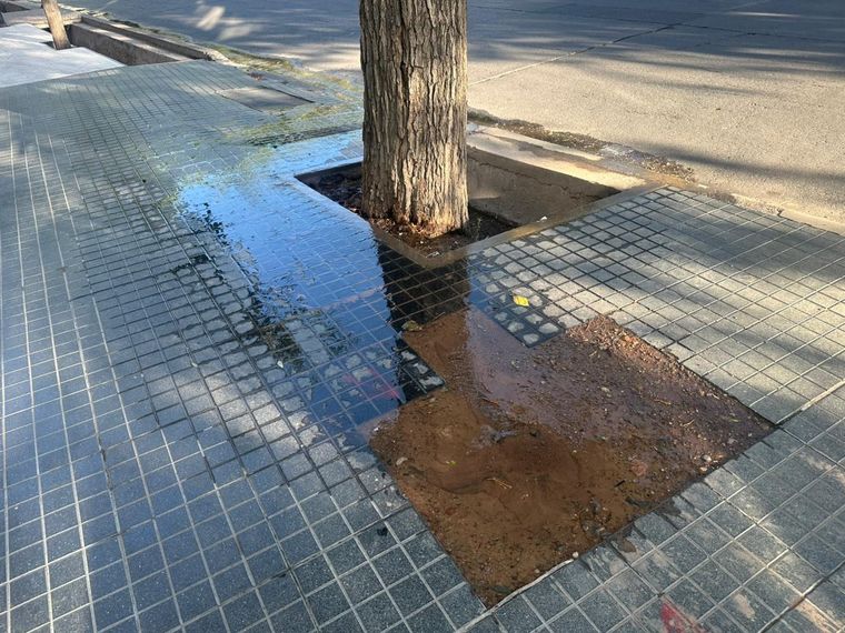 La pérdida afecta simultáneamente a Sobremonte y Paso de Los Andes.