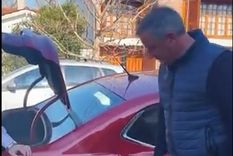 A Monzó le robaron la rueda del auto cuando estaba en una reunión