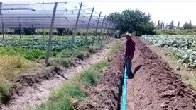 Cuando se combina con herramientas de monitoreo y análisis de datos, el riego pasa a contribuir a una gestión más eficiente de los recursos de la propiedad. Cuando se combina con herramientas de monitoreo y análisis de datos, el riego pasa a contribuir a una gestión más eficiente de los recursos de la propiedad.