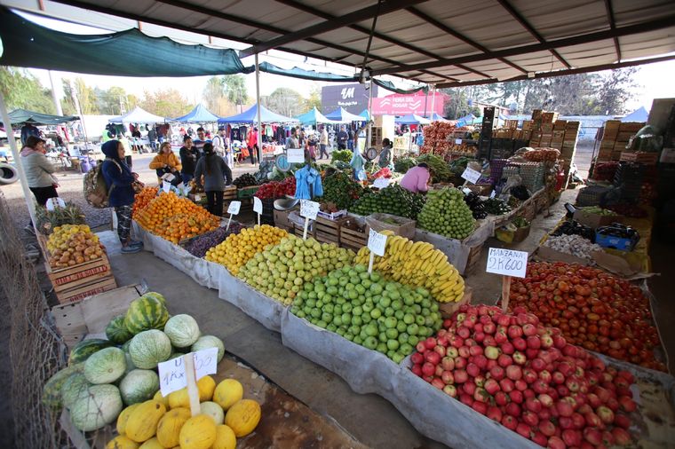 El crecimiento de las ferias de Ugarteche se nota domingo tras domingo, y aparece como una buena oportunidad de negocio Foto: Maximiliano Ríos/MDZ