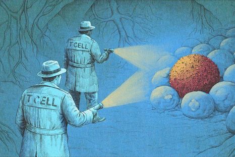 es increible, como ciencia ficcion: los nuevos tratamientos con inmunoterapia que estan eliminando el cancer es increible, como ciencia ficcion: los nuevos tratamientos con inmunoterapia que estan eliminando el cancer