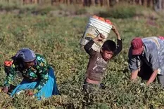 En 2024 había cerca de 138 millones de niñas, niños y adolescentes en situación de trabajo infantil.&nbsp;