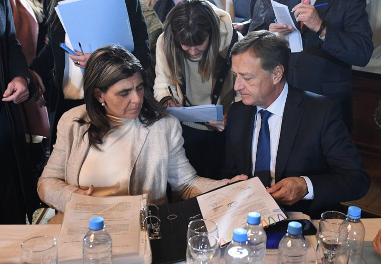 Los senadores Rodolfo Suarez y Mariana Juri apoyaron los cambios a la ley de glaciares, la baja de la imputabilidad y la reforma laboral, pero sin opinar.