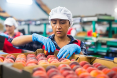 La asistencia del sector público se realizará de manera más directa en los privados y focalizada según las necesidades concretas Foto: Shuterstock.