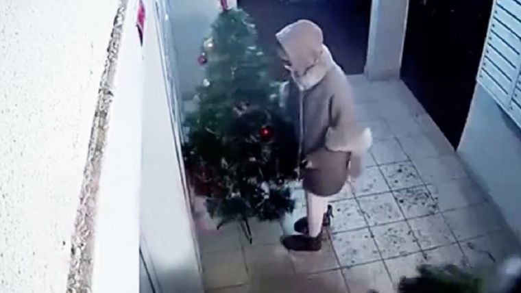 El robo del árbol de Navidad fue grabado y se hizo viral