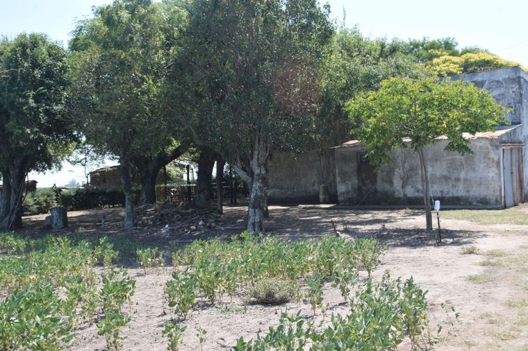 El hombre de 86 años pasó 10 horas junto al cadáver de su hermano hasta que sus gritos de auxilio alertaron al vecino