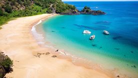 Las aguas cristalinas y la biodiversidad marina la vuelven una playa ideal para hacer snorkel y buceo. Foto: Shutterstock Las aguas cristalinas y la biodiversidad marina la vuelven una playa ideal para hacer snorkel y buceo. Foto: Shutterstock