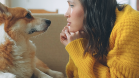 La comunicación afectuosa con mascotas es una conducta muy frecuente entre humanos. Foto: Shutterstock La comunicación afectuosa con mascotas es una conducta muy frecuente entre humanos. Foto: Shutterstock