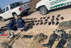 Gendarmería detectó la caza ilegal. Foto: GSFE Gendarmería detectó la caza ilegal. Foto: GSFE