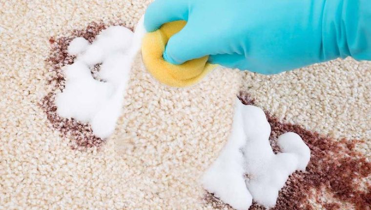 Elimina manchas, malos olores y polvo de la alfombra del hogar. Foto: Shutterstock
