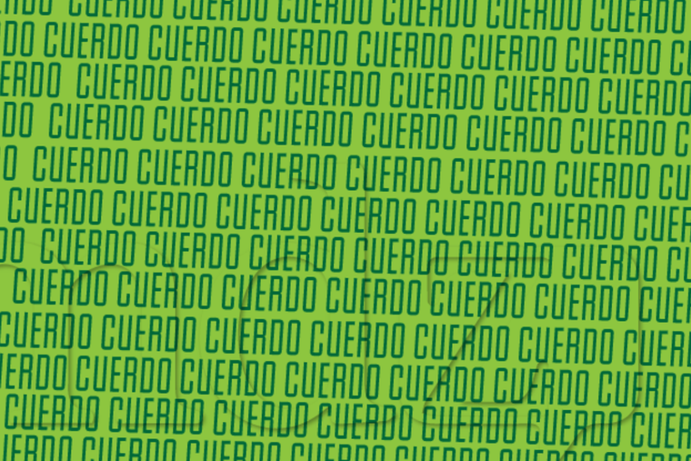 ACERTIJO VISUAL ACERTIJO VISUAL, RETO VISUAL, PALABRA. Foto: MDZ ONLINE