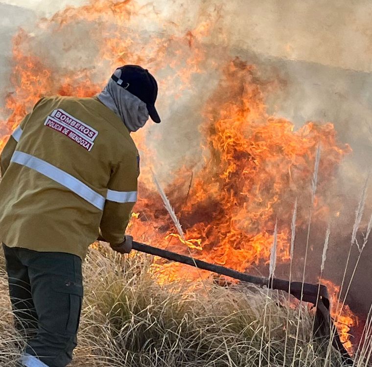 Un sueño muy angustiante. Fuente: MDZ. Un sueño muy angustiante. Fuente: MDZ.