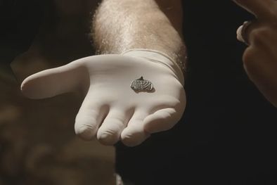 MDZol | israel hallazgo