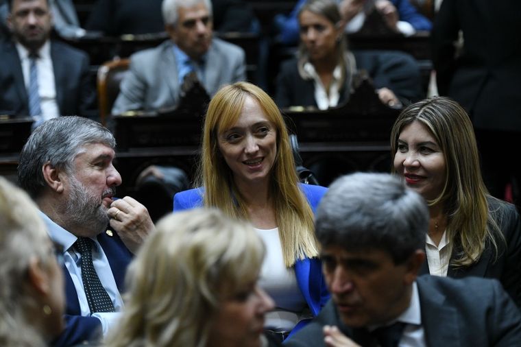 La senadora nacional mendocina Anabel Fernández Sagasti Foto: X @anabelfsagasti