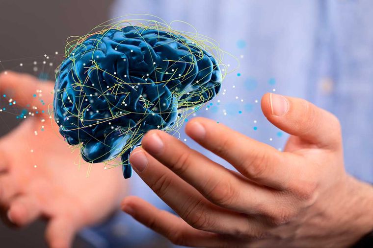 Vivir en la incertidumbre no es la excepción: es la nueva normalidad. Vivir en la incertidumbre no es la excepción: es la nueva normalidad.