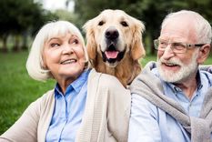 No sólo los seres humanos envejecen, con lo que acarrea. Foto: Arbor.