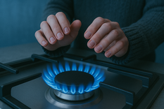 El sur de Mendoza está dentro del régimen de Zona Fría.&nbsp;