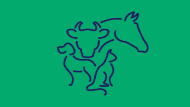 Test de personalidad