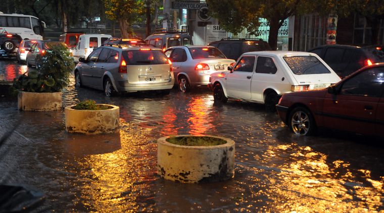 Foto: Alf Ponce / MDZ