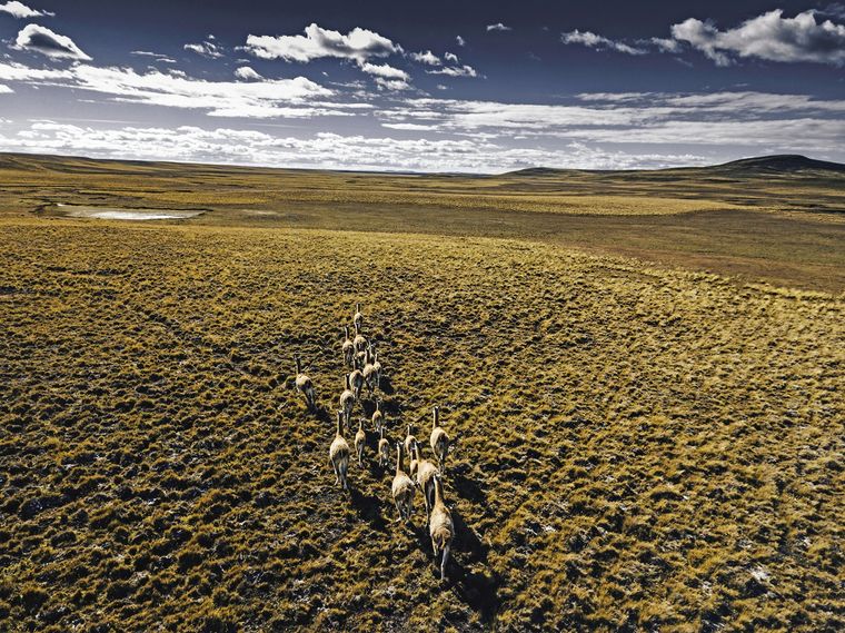 KP ha tenido un rol importante en el desarrollo de servicios ambientales para la industria en general, con un especial cuidado en el desarrollo sostenible.