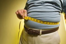 descubren que la obesidad es hereditaria