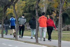 La primavera de a poco se hace sentir a lo largo y ancho del país. Foto: Santiago Tagua/MDZ