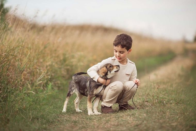 Las mascotas aportan valiosas lecciones de vida y amor incondicional a los niños, pero no todas las edades son adecuadas para tener uno Foto: Freepik