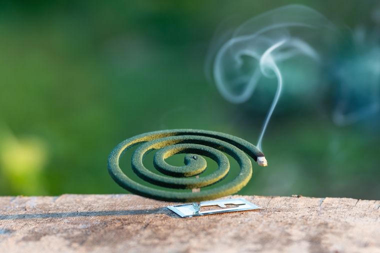 El verano invita a disfrutar del aire libre, pero también exige cuidados frente a los insectos. Foto: Shutterstock