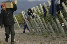 bodegueros piden medidas para recuperar competitividad