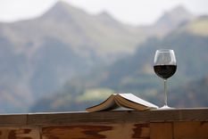 veinte citas sobre el vino, para disfrutarlo todavia mas