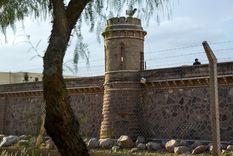 Foto: Santiago Tagua/MDZ