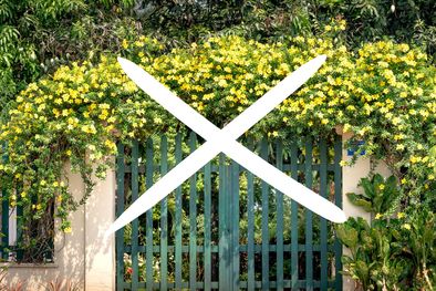 MDZol | Diseño sin título (8)