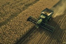 La agricultura fue puntal de la mejora del PBI Foto: Conicet