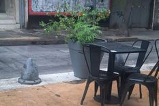 El jueves por la tarde, la Fuerza Policial Antinarcotráfico decomisó en una maceta de calle Buenos Aires Foto: Twitter Centro Vecinal Nueva Córdoba