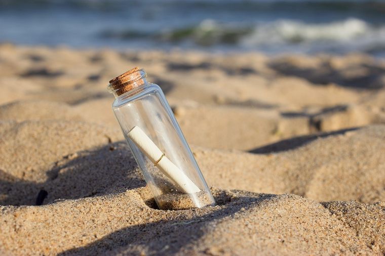 El descubrimiento impactó a los usuarios en las redes. Foto: Shutterstock