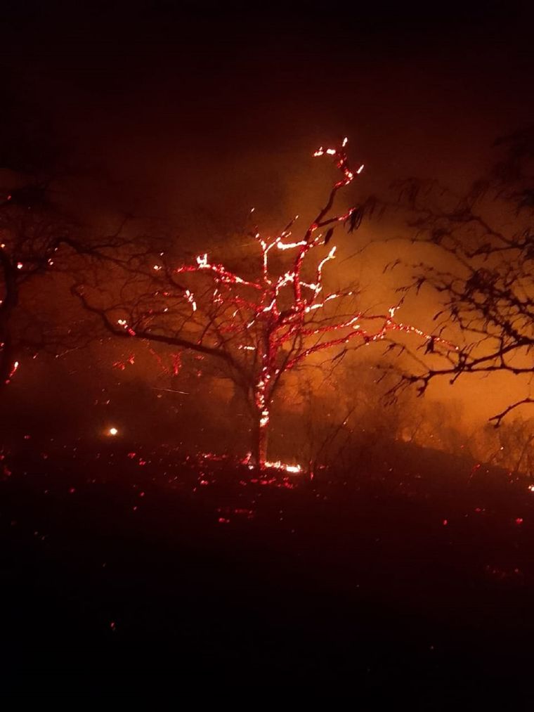 Incendio Las llamas habrían consumido la vegetación de una 2.000 hectáreas Foto: Twitter: @SargentPepe