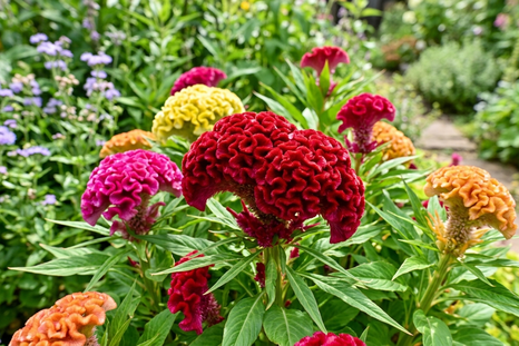 Una planta exótica. Fuente. IA Gemini. Una planta exótica. Fuente. IA Gemini.