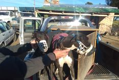 La carrera de Galgos fue desarticulada antes de que inicie, mientras que la fiesta fue parada y rompieron el móvil policial