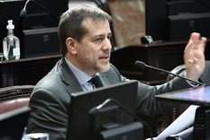 El senador criticó duramente a Milei desde el Congreso Foto: Prensa Senado El senador criticó duramente a Milei desde el Congreso Foto: Prensa Senado