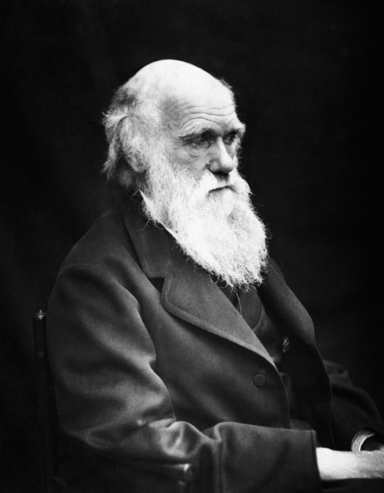 Charles Darwin Foto: Wikipedia