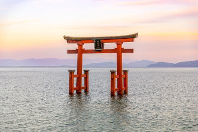 MDZol | Japón