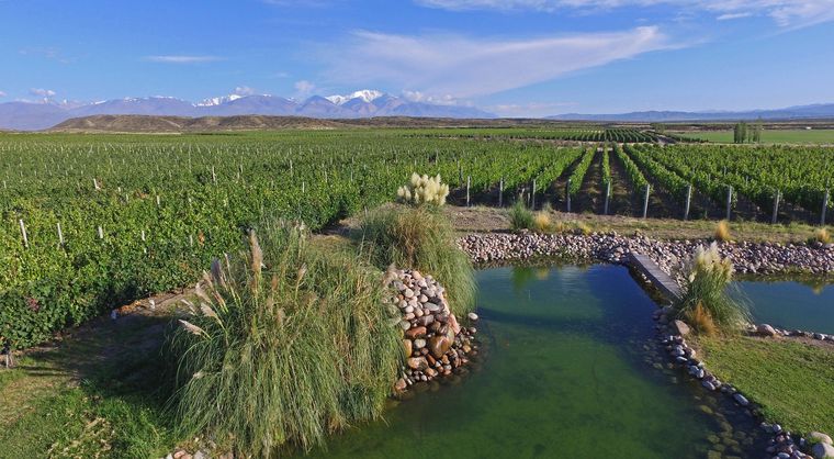 Este jueves 24 de noviembre se llevaron a cabo las II Jornadas del Turismo del Vino