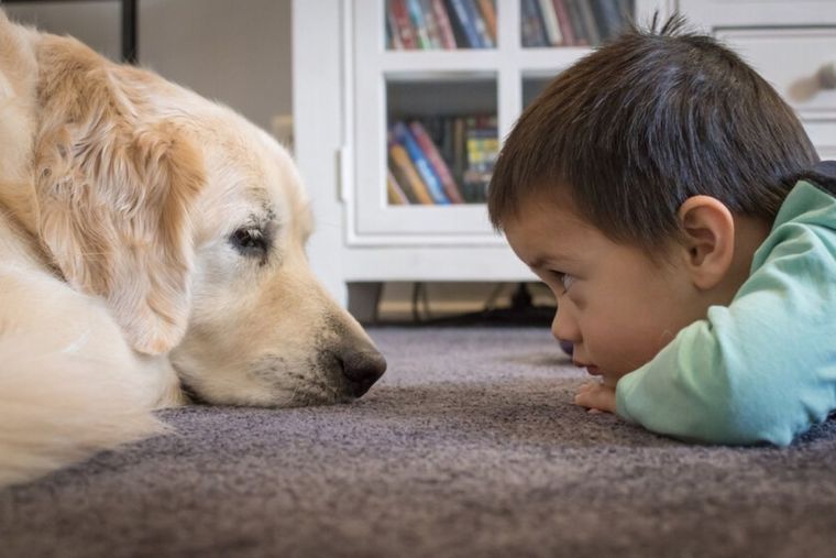 Perro Perro junto aun niño con autismo Foto: Bebés y más